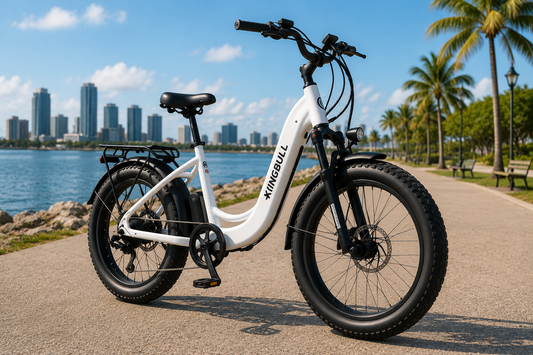 Kingbull Discover ST 2.0 Step-Through Electric Bike